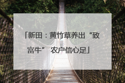 新田：黄竹草养出“致富牛” 农户信心足