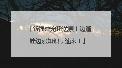 新福建宠粉送票！边遛娃边涨知识，速来！