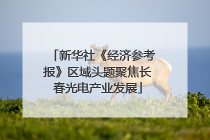 新华社《经济参考报》区域头题聚焦长春光电产业发展