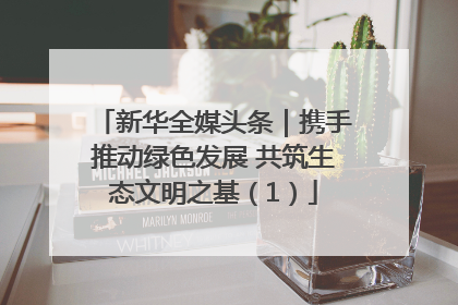 新华全媒头条｜携手推动绿色发展 共筑生态文明之基（1）