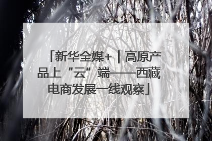 新华全媒+｜高原产品上“云”端——西藏电商发展一线观察