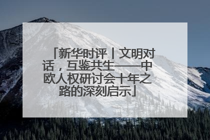 新华时评丨文明对话，互鉴共生——中欧人权研讨会十年之路的深刻启示