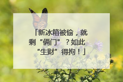 新冰箱被偷，就剩“俩门”？如此“生财”得拘！