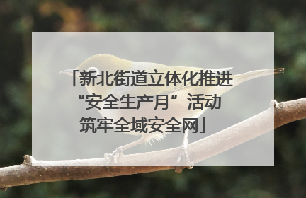 新北街道立体化推进“安全生产月”活动 筑牢全域安全网