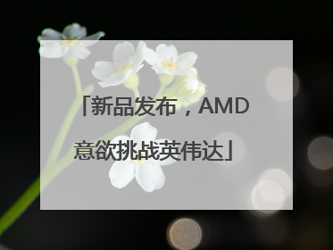 新品发布，AMD意欲挑战英伟达