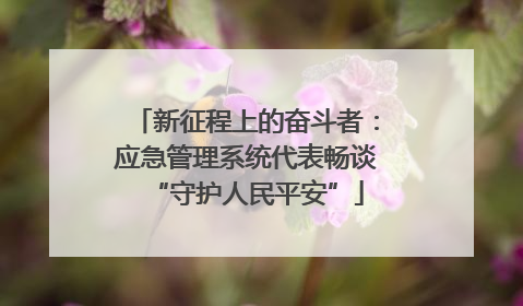 新征程上的奋斗者：应急管理系统代表畅谈“守护人民平安”