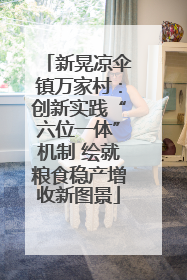 新晃凉伞镇万家村：创新实践“六位一体”机制 绘就粮食稳产增收新图景