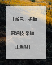 新晃：杨梅缀满枝 采梅正当时