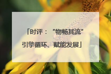 时评：“物畅其流”引擎循环、赋能发展
