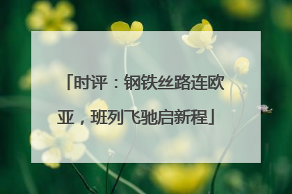 时评：钢铁丝路连欧亚，班列飞驰启新程