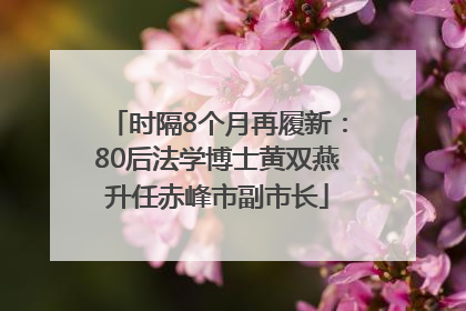 时隔8个月再履新：80后法学博士黄双燕升任赤峰市副市长