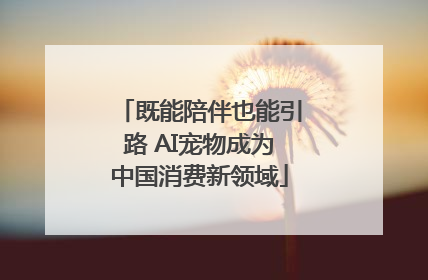 既能陪伴也能引路 AI宠物成为中国消费新领域