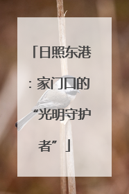 日照东港：家门口的“光明守护者”