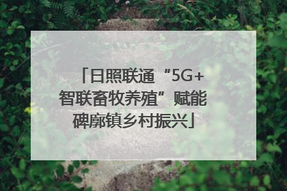 日照联通“5G+智联畜牧养殖”赋能碑廓镇乡村振兴