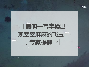 昆明一写字楼出现密密麻麻的飞虫，专家提醒→