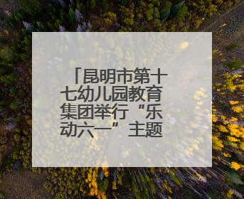昆明市第十七幼儿园教育集团举行“乐动六一”主题系列活动