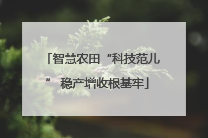 智慧农田“科技范儿” 稳产增收根基牢