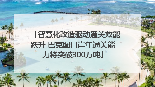 智慧化改造驱动通关效能跃升 巴克图口岸年通关能力将突破300万吨