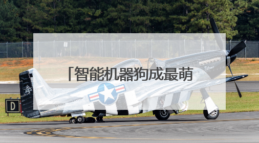 智能机器狗成最萌领跑员，平阳红色越野跑今日开赛