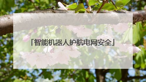 智能机器人护航电网安全