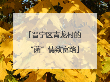 晋宁区青龙村的“菌”情致富路