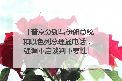 普京分别与伊朗总统和以色列总理通电话，强调重启谈判重要性