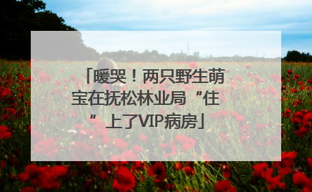 暖哭！两只野生萌宝在抚松林业局“住”上了VIP病房
