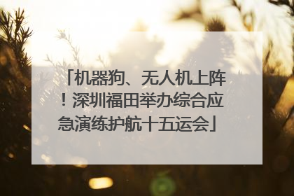 机器狗、无人机上阵！深圳福田举办综合应急演练护航十五运会