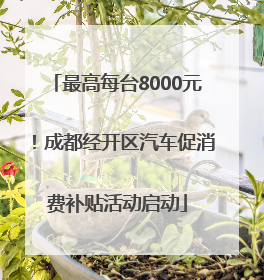 最高每台8000元！成都经开区汽车促消费补贴活动启动