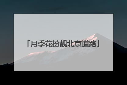 月季花扮靓北京道路