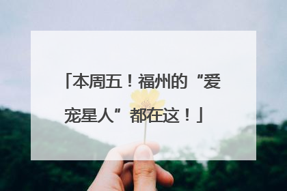 本周五！福州的“爱宠星人”都在这！