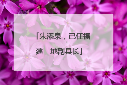 朱添泉，已任福建一地副县长