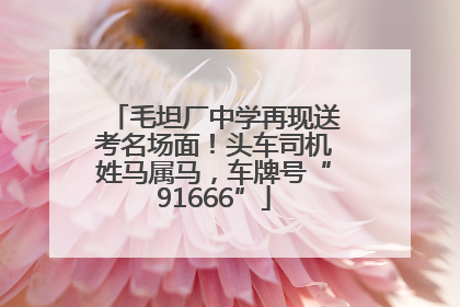 毛坦厂中学再现送考名场面！头车司机姓马属马，车牌号“91666”