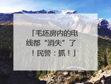 毛坯房内的电线都“消失”了！民警：抓！