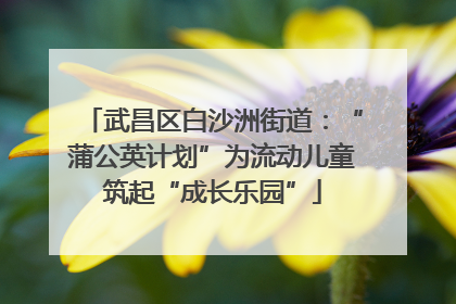 武昌区白沙洲街道：“蒲公英计划”为流动儿童筑起“成长乐园”