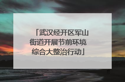 武汉经开区军山街道开展节前环境综合大整治行动