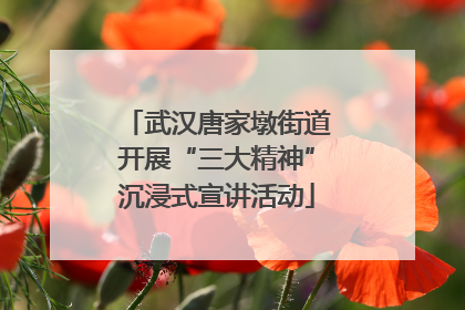 武汉唐家墩街道开展“三大精神”沉浸式宣讲活动