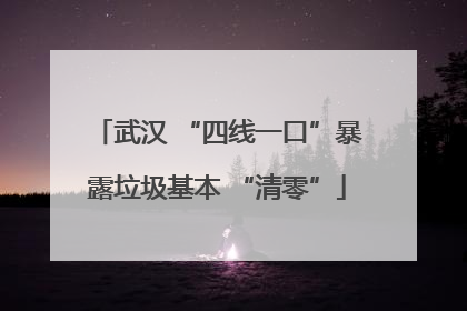 武汉 “四线一口”暴露垃圾基本 “清零”