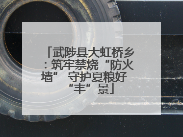 武陟县大虹桥乡：筑牢禁烧“防火墙” 守护夏粮好“丰”景