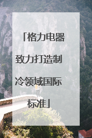 格力电器致力打造制冷领域国际标准