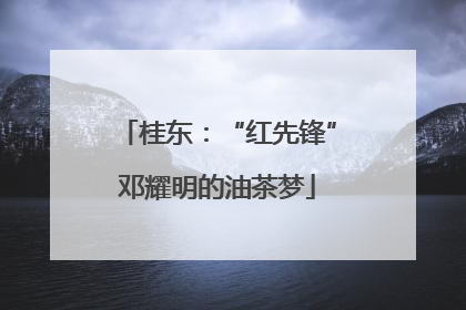 桂东：“红先锋”邓耀明的油茶梦
