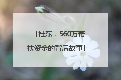 桂东：560万帮扶资金的背后故事