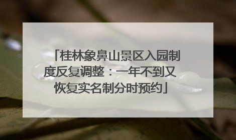 桂林象鼻山景区入园制度反复调整：一年不到又恢复实名制分时预约