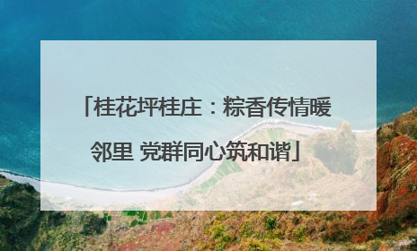 桂花坪桂庄：粽香传情暖邻里 党群同心筑和谐
