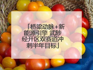 桥梁动脉+新能源引擎 武陟经开区双赛道冲刺半年目标