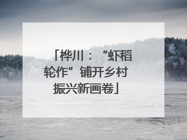 桦川：“虾稻轮作”铺开乡村振兴新画卷