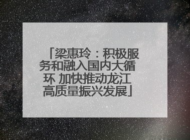 梁惠玲：积极服务和融入国内大循环 加快推动龙江高质量振兴发展