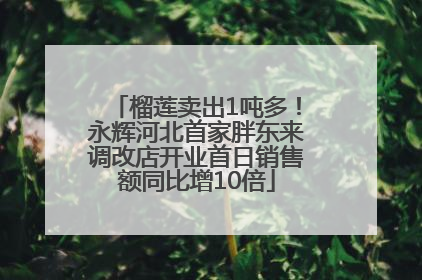 榴莲卖出1吨多！永辉河北首家胖东来调改店开业首日销售额同比增10倍