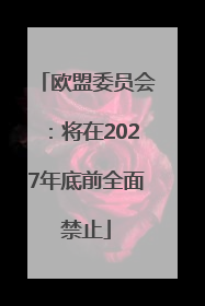 欧盟委员会：将在2027年底前全面禁止