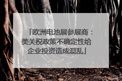 欧洲电池展参展商：美关税政策不确定性给企业投资造成混乱